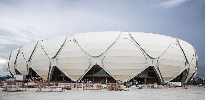 Arena Amazônia in Manaus .Capacity 46000 : Design-wise, the