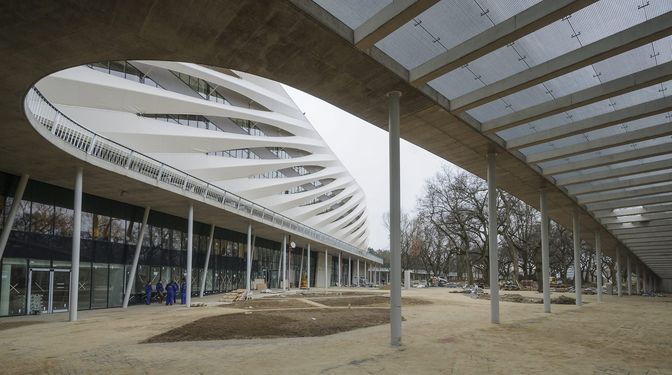 Nagyerdei STadion