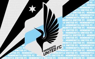 Minneapolis: Which site for the Loons’ nest?