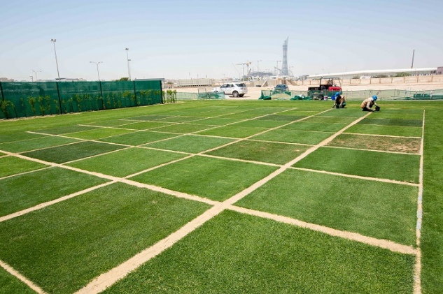 World store cup turf