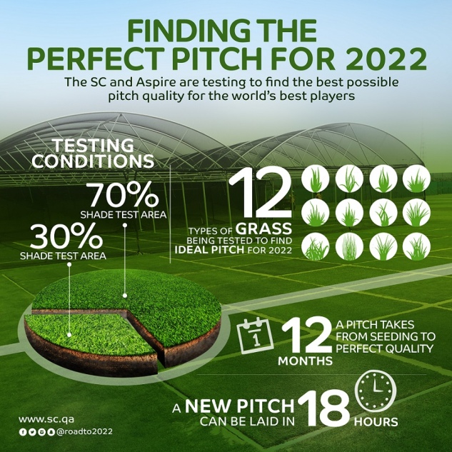 2022 grass