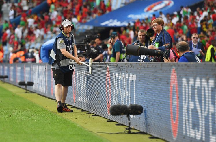 moths at Euro 2016