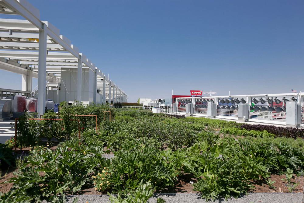 Levi's Stadium