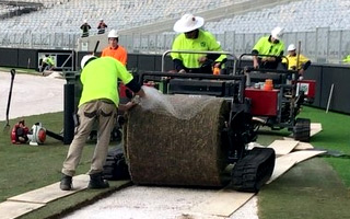 Perth: Hybrid turf being laid 