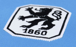 Munich: Webasto owner promises stadium to TSV 1860