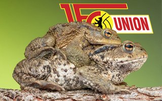 Berlin: Thousands of toads descend on Union stadium