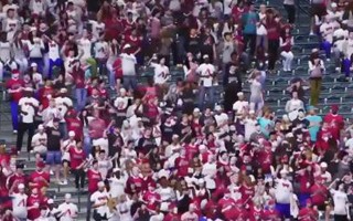 COVID-19 crisis: Detailed virtual fans at MLB games