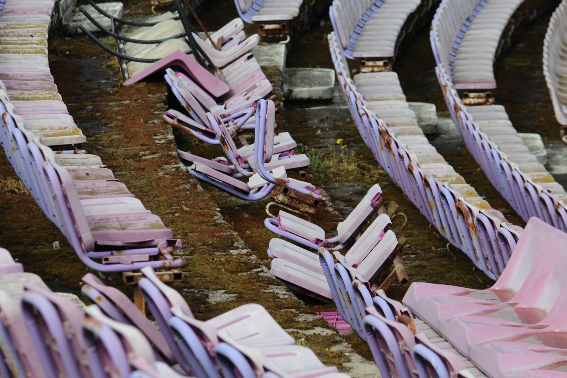 Stadionul Dan Paltinisanu, Timisoara