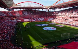 lisbon estadio da luz