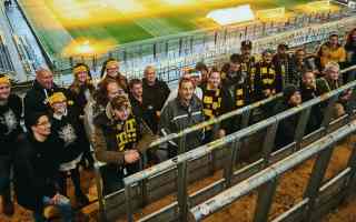 Germany: Signal Iduna Park open to those in need for Christmas