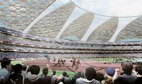 New National Stadium Japan (VII)