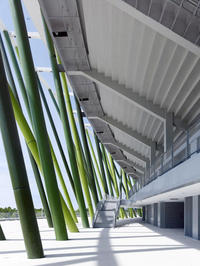 Bao’an Stadium (Bamboo Stadium)