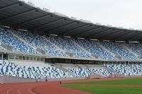 Boris Paichadze Dinamo Arena