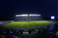 Yodoko Sakura Stadium (Nagai Ball Gall Field)
