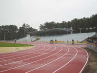 Stadion Miejski w Kozienicach (Stadion MKS-u Kozienice) (48.34375 KB)