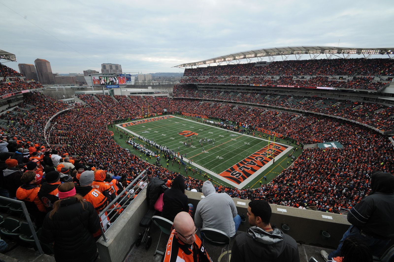 Cincinnati Bengals - Paul Brown Stadium - Shaw Sports Turf