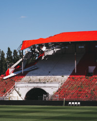 bosuil_stadion