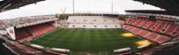 bosuil_stadion