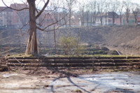 stadion_nowe_miasto