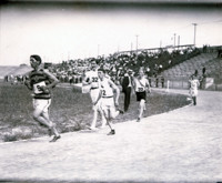 Francis Olympic Field