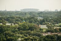 Tropicana Field